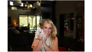 Illustration for article titled Britney Spears Adopts a New Dog, But Whatever Happened to Bit Bit?